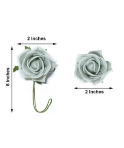 HIER_5120 24 Roses | 2