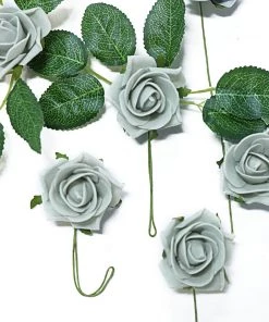 HIER_5120 24 Roses | 2