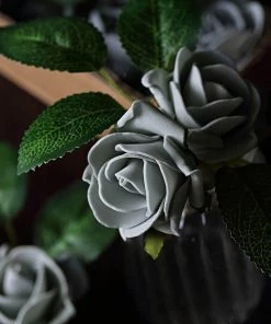 HIER_5120 24 Roses | 2