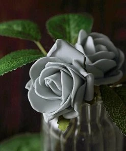 HIER_5120 24 Roses | 2