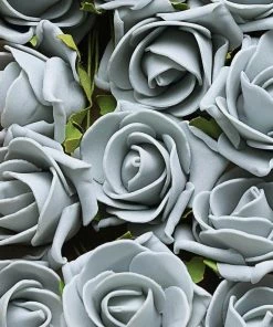 HIER_5120 24 Roses | 2