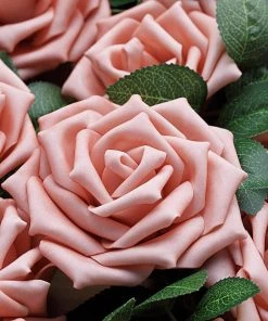 HIER_5120 24 Roses | 5