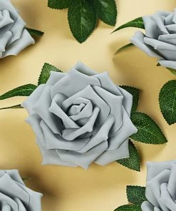 HIER_5120 24 Roses | 5