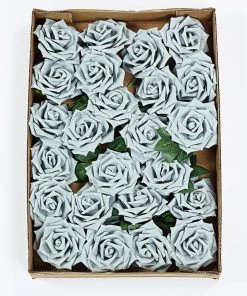 HIER_5120 24 Roses | 5