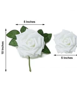 HIER_5120 24 Roses | 5