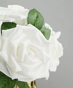 HIER_5120 24 Roses | 5