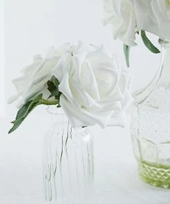 HIER_5120 24 Roses | 5