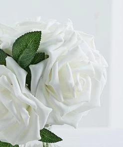 HIER_5120 24 Roses | 5