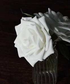 HIER_5120 24 Roses | 5