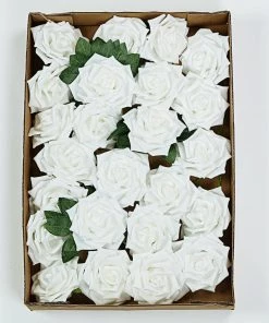 HIER_5120 24 Roses | 5