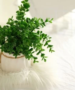 HIER_1220 Artificial Plants 3 Pack - 13