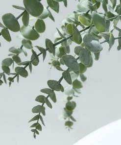 HIER_1150 3 Bushes | 30