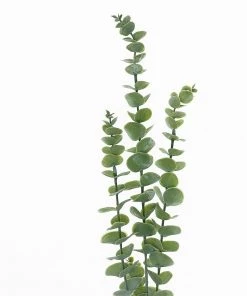 HIER_1150 3 Bushes | 30