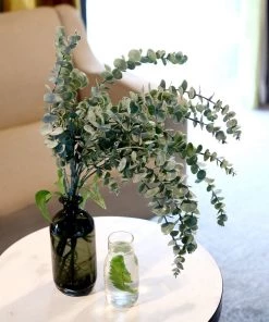 HIER_1150 3 Bushes | 30