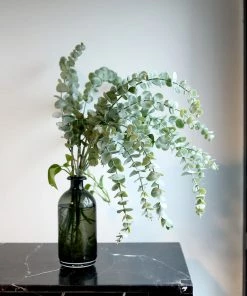 HIER_1150 3 Bushes | 30