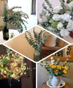 HIER_1150 3 Bushes | 30