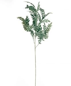 HIER_1150 2 Bushes | 42