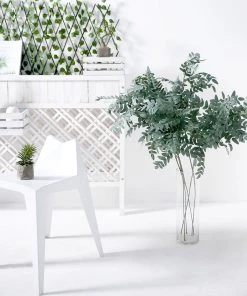 HIER_1150 2 Bushes | 42