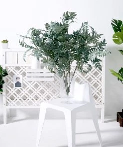 HIER_1150 2 Bushes | 42