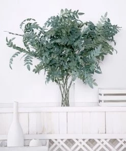 HIER_1150 2 Bushes | 42