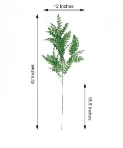 HIER_1150 2 Bushes | 42