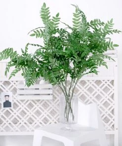 HIER_1150 2 Bushes | 42