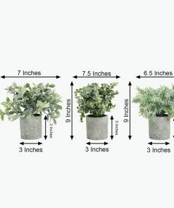 HIER_1220 Set Of 3 | 9