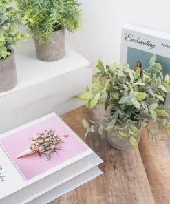 HIER_1220 Set Of 3 | 9