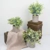 HIER_1220 Set Of 3 | 9" Mini Potted Artificial Plants, Eucalyptus Rosemary Faux Herbs, Boxwood Greenery In Pots - Frosted Green 2 HIER_1220 Set Of 3 | 9" Mini Potted Artificial Plants, Eucalyptus Rosemary Faux Herbs, Boxwood Greenery In Pots - Frosted Green
