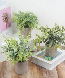 HIER_1220 Set Of 3 | 9