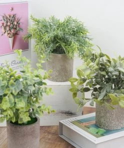 HIER_1220 Set Of 3 | 9