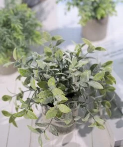 HIER_1220 Set Of 3 | 9