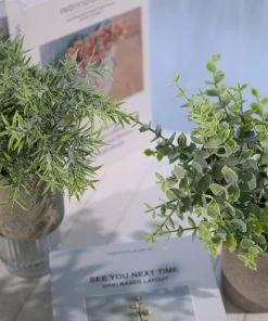 HIER_1220 Set Of 3 | 9