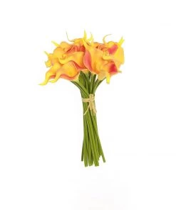 HIER_1400 20 Pack | 14