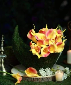 HIER_1400 20 Pack | 14