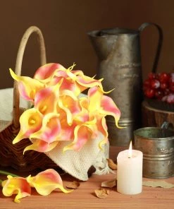 HIER_1400 20 Pack | 14