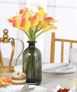 HIER_1400 20 Pack | 14