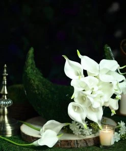 HIER_1400 20 Pack | 14