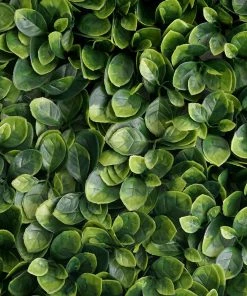 HIER_1920 Wall Panels 11 Sq Ft. | 4 Panels Artificial Boxwood Hedge Faux Small Leaves Foliage Green Garden Wall Mat 23 HIER_1920 Wall Panels 11 Sq Ft. | 4 Panels Artificial Boxwood Hedge Faux Small Leaves Foliage Green Garden Wall Mat