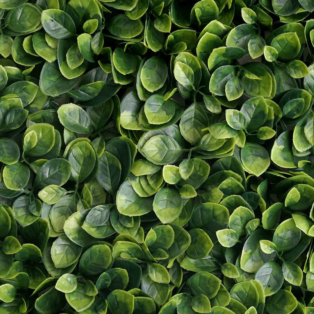 HIER_1920 Wall Panels 11 Sq Ft. | 4 Panels Artificial Boxwood Hedge Faux Small Leaves Foliage Green Garden Wall Mat 9 HIER_1920 Wall Panels 11 Sq Ft. | 4 Panels Artificial Boxwood Hedge Faux Small Leaves Foliage Green Garden Wall Mat