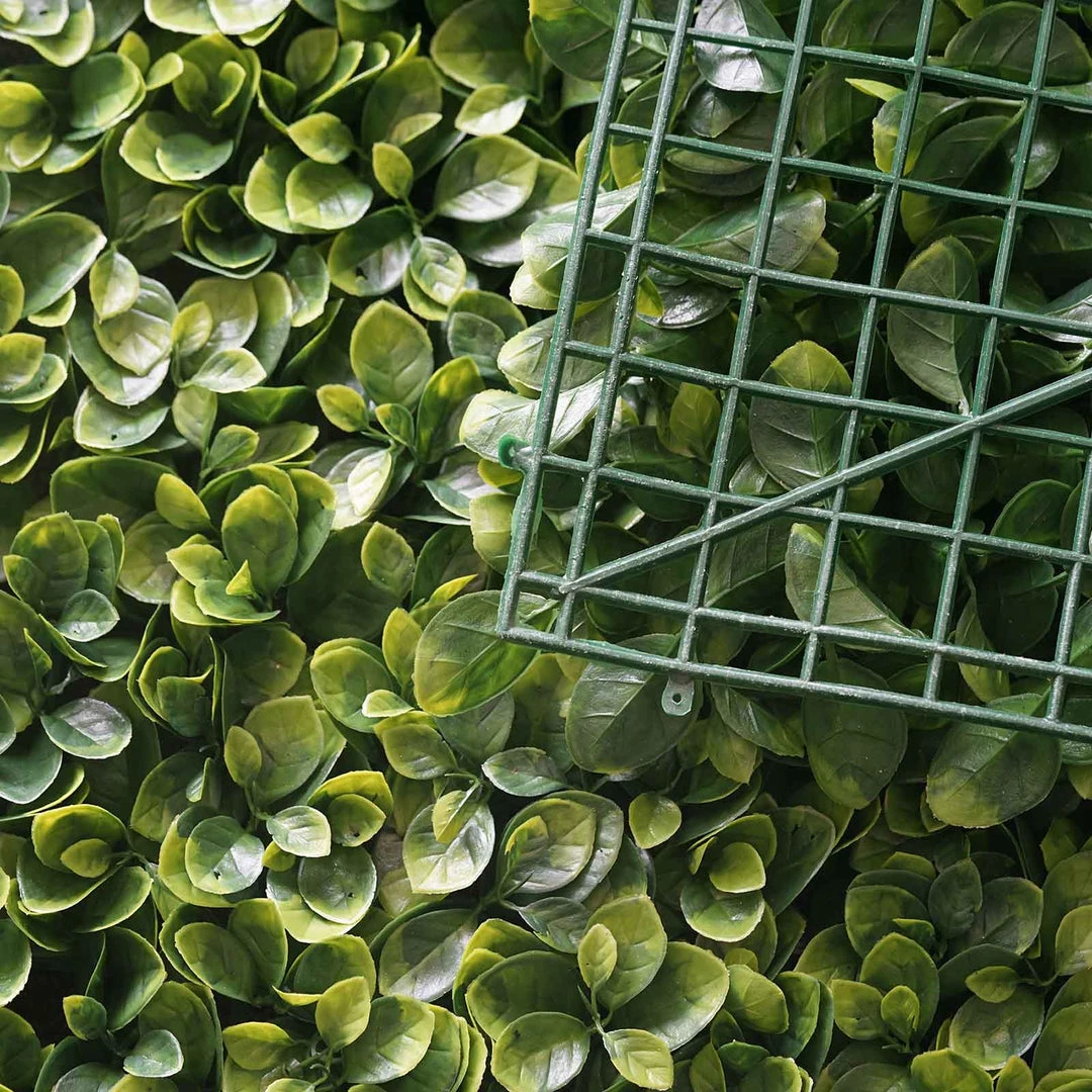 HIER_1920 Wall Panels 11 Sq Ft. | 4 Panels Artificial Boxwood Hedge Faux Small Leaves Foliage Green Garden Wall Mat 10 HIER_1920 Wall Panels 11 Sq Ft. | 4 Panels Artificial Boxwood Hedge Faux Small Leaves Foliage Green Garden Wall Mat