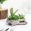 HIER_1710 6" Long - Succulent Planter With 15 Artificial Succulents - Artificial Plants