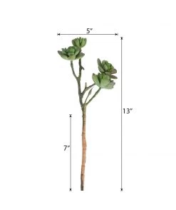 Silkflowersfactory Succulents Set Of 3 | 13