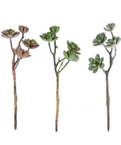 Silkflowersfactory Succulents Set Of 3 | 13