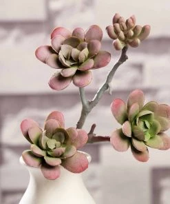 Silkflowersfactory Succulents Set Of 3 | 13
