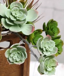Silkflowersfactory Set Of 3 | 18" Assorted Artificial Succulent Plants Echeveria Long Stem Air Plants Succulents