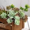 Silkflowersfactory Set Of 3 | 18" Assorted Artificial Succulent Plants Echeveria Long Stem Air Plants Succulents
