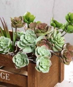 Silkflowersfactory Set Of 3 | 18" Assorted Artificial Succulent Plants Echeveria Long Stem Air Plants Succulents