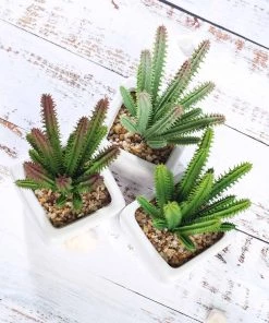 Silkflowersfactory Succulents Set Of 3 | 7