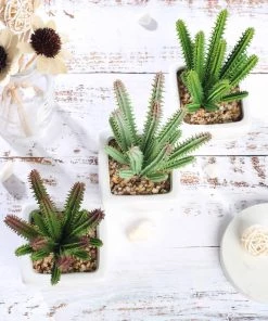 Silkflowersfactory Succulents Set Of 3 | 7